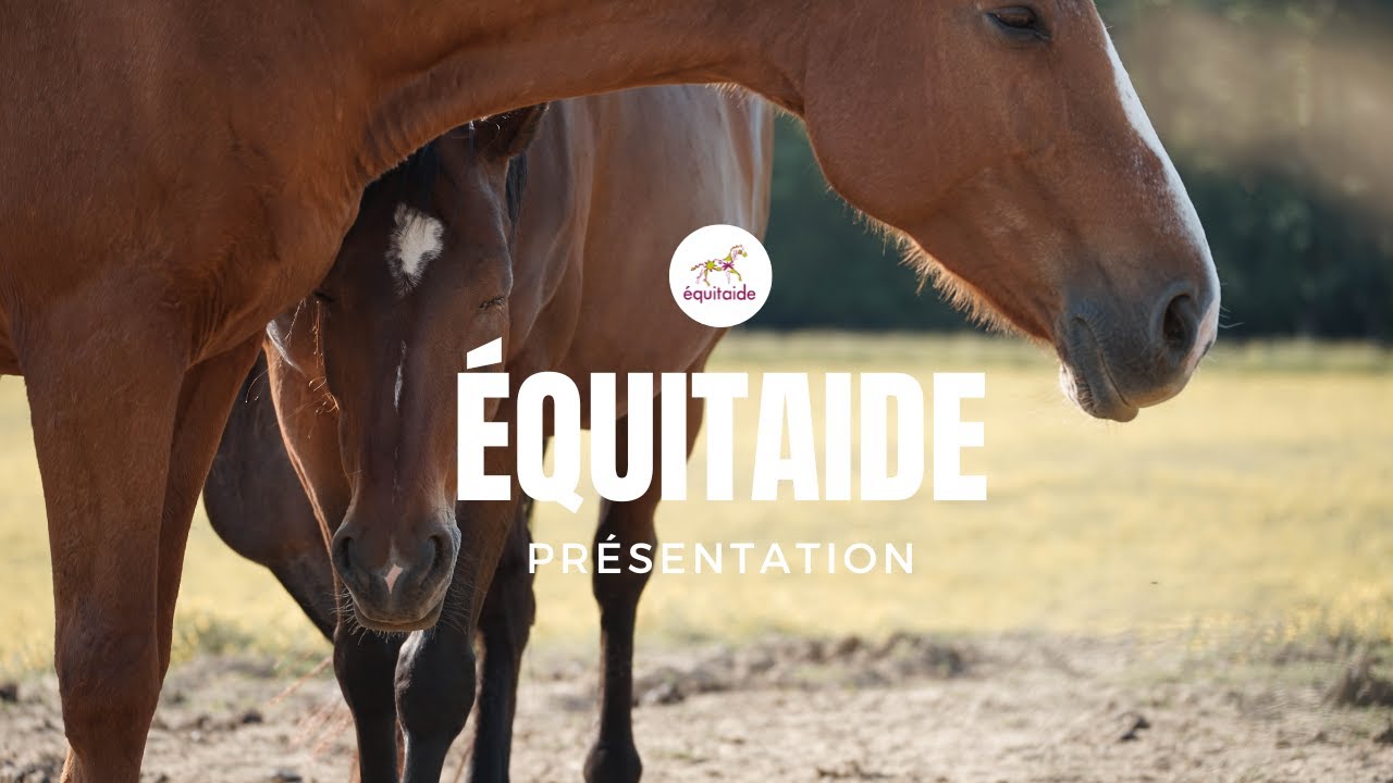Bienvenue à Équitaide : Découvrez les stages, modules et la formation pour devenir Équicien !