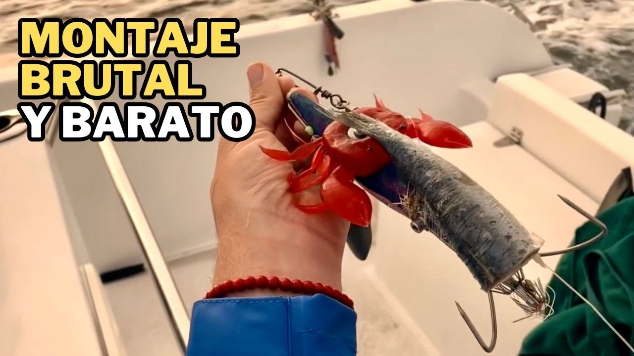 PESCA de PULPOS, CALAMARES y SEPIAS en BARCO (Galicia)