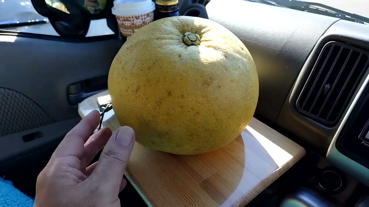 四国・淡路島　４泊５日の旅　パート３