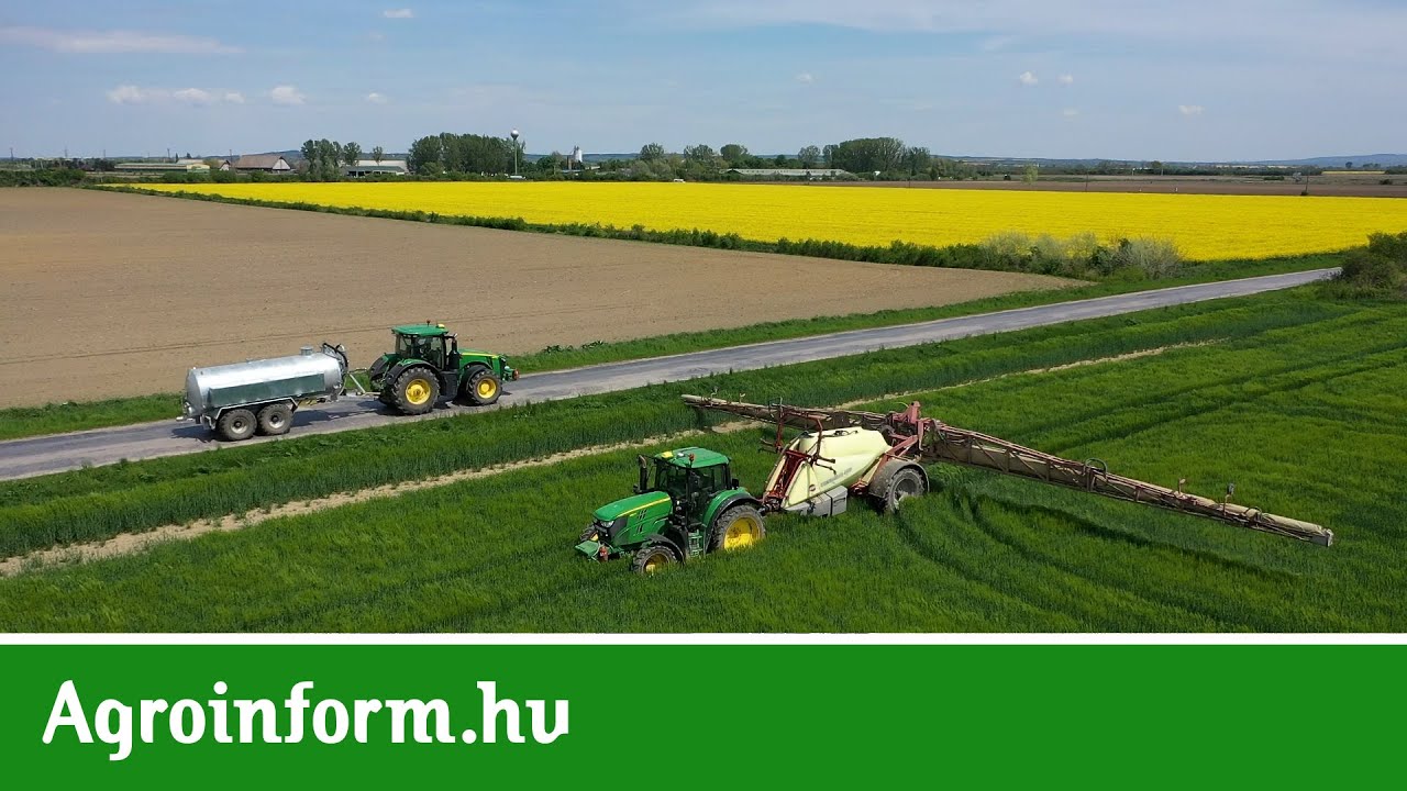 Az égigérő repce története