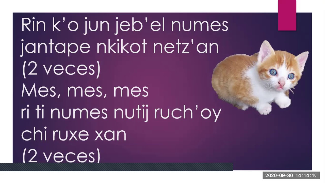 CANCIÓN EL MISHITO EN KAQCHIKEL