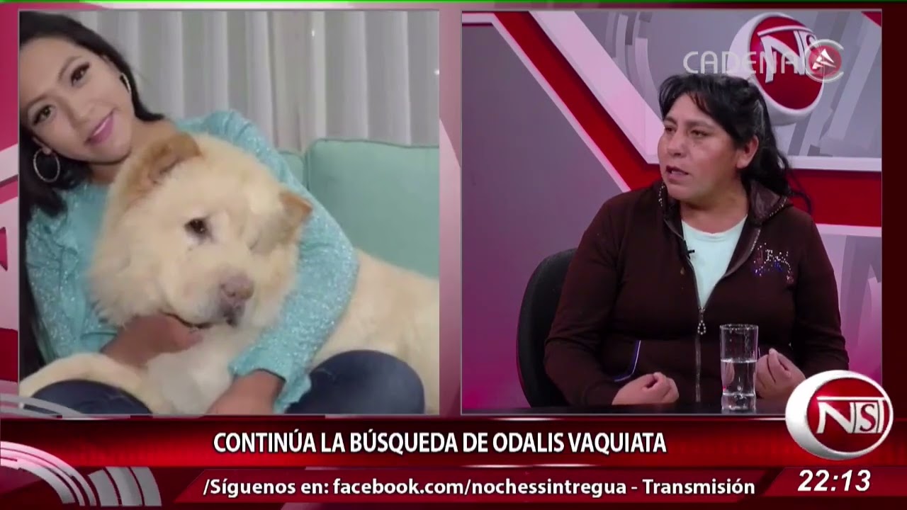Continúa la búsqueda de Odalis, su madre pide justicia