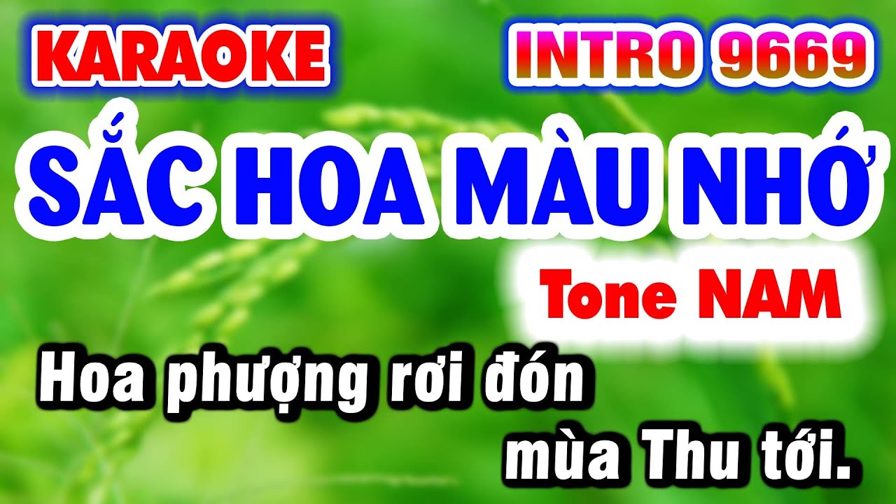Karaoke Sắc Hoa Màu Nhớ | Tone Nam 2023 | Karaoke Nhạc Sống 9669 KLA 🎵