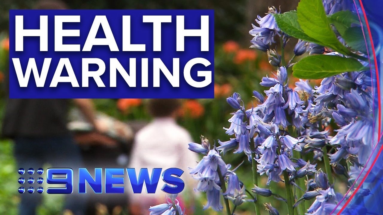 Asthma and hayfever suffers warned of potentially dangerous weather changes | Nine News Australia