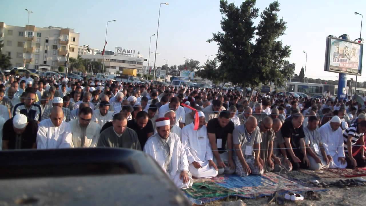 الشيخ إبراهيم ـ المروج