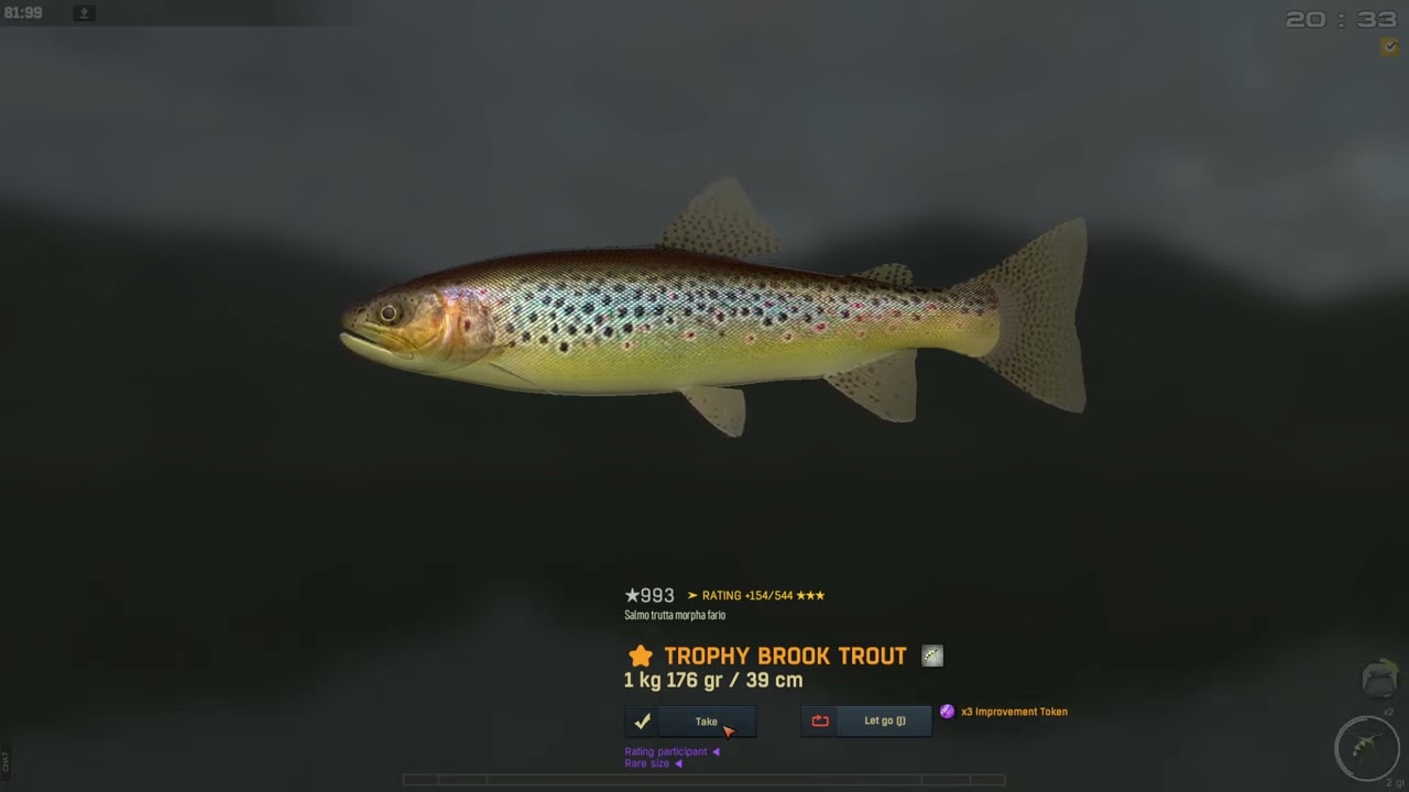 TROPHY TROUT GRIND! 🔥 Catching Brook Trout & Golden Trout on the Poland r. San | Fisher Online Guide