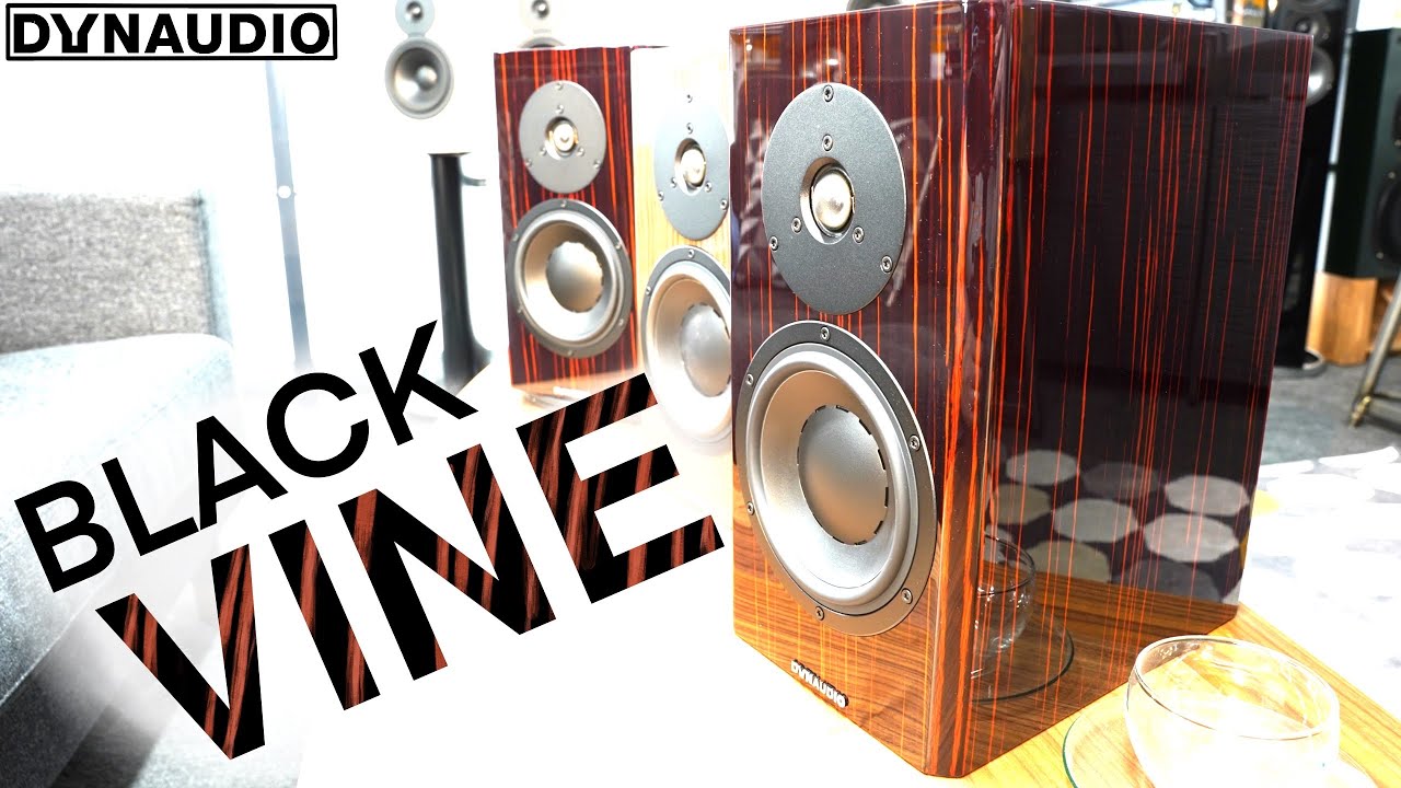 Dynaudio Special Forty Black Vine Первый взгляд