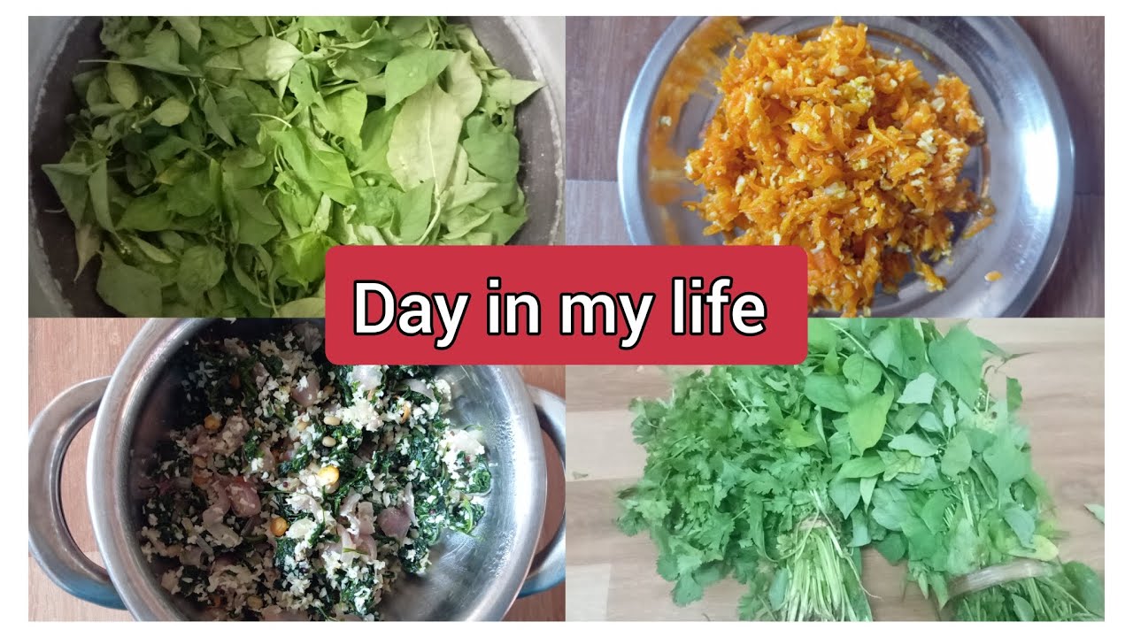 வீட்டு வேலை + கிச்சன் + Self Time | Day in My Life Vlog Tamil | என் ஒரு நாள் வாழ்க்கை |என் ஒரு நாள் 