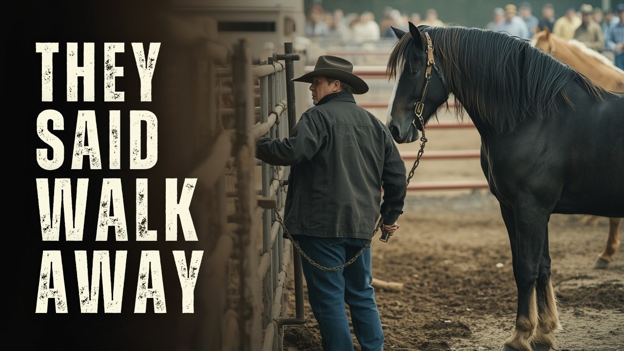 He Bought the Last Horse in the Back Pen... The Auctioneer Said, “You Sure?”