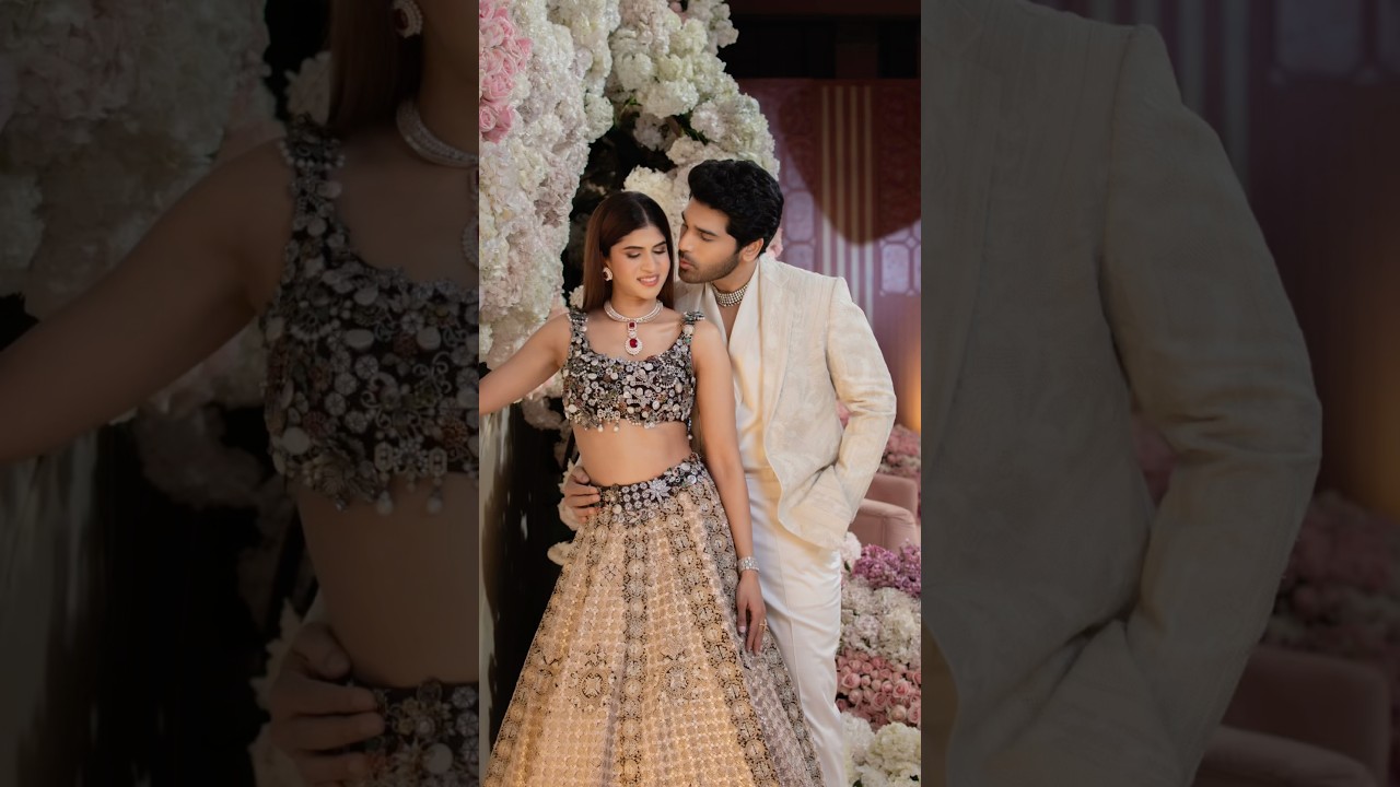 Allu Sirish Wedding Reception | Allu Arjun | Allu Family | Tollywood | South Indian Wedding | Couple