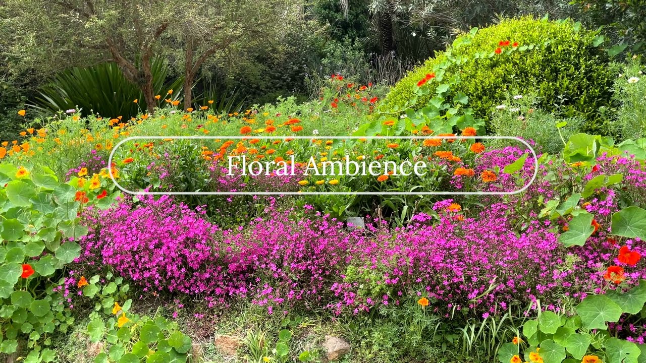 Floral Ambience