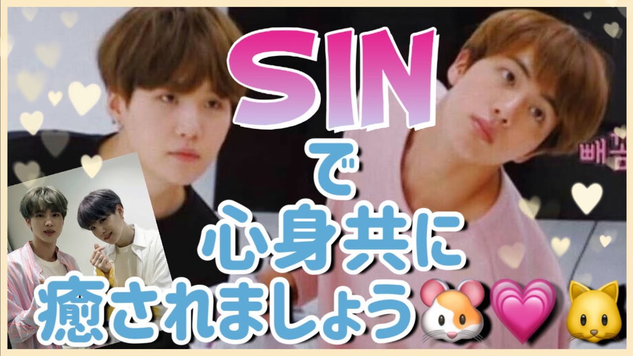 【BTS JIN SUGA】SINで心身共に癒されましょう🐹💗🐱