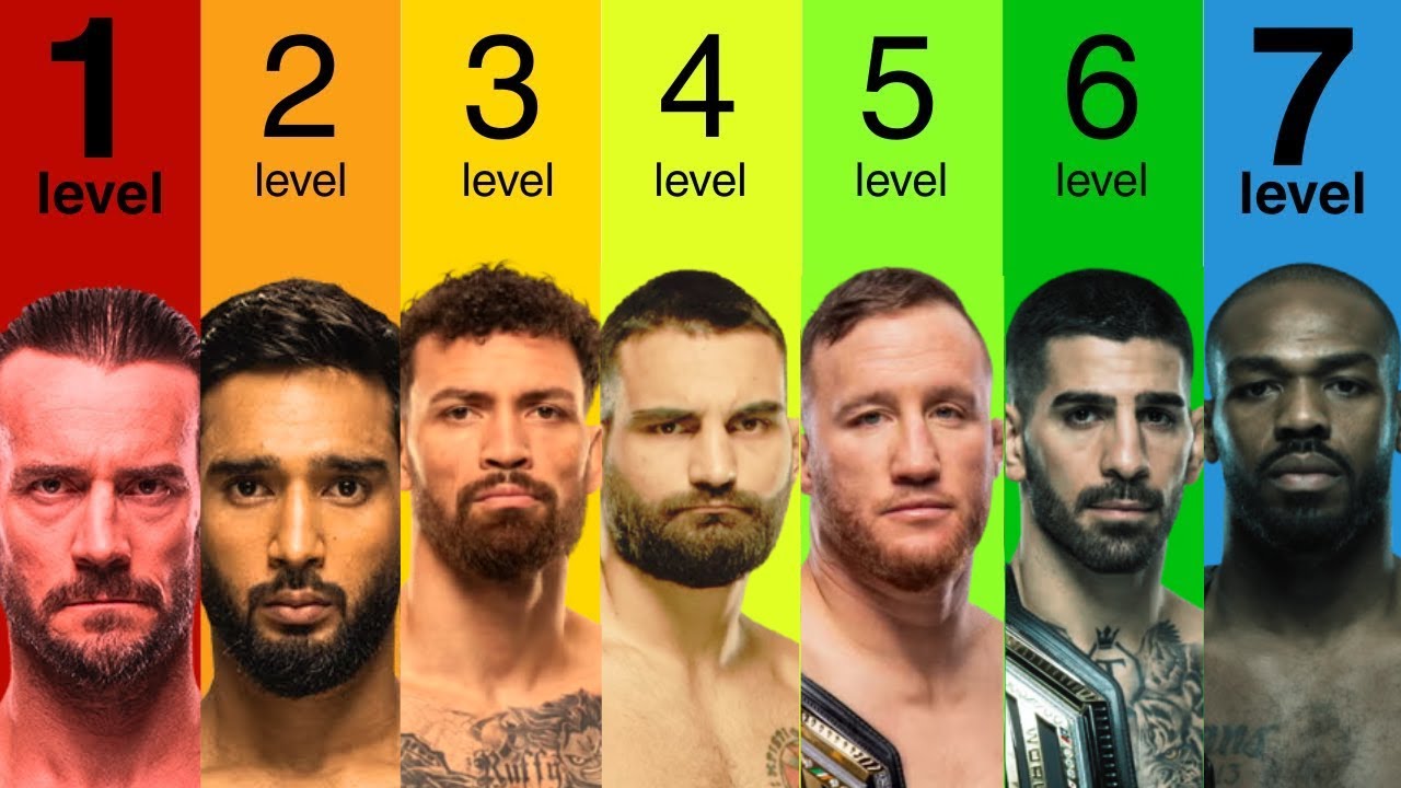 Les 7 niveaux d'un combattant de l'UFC