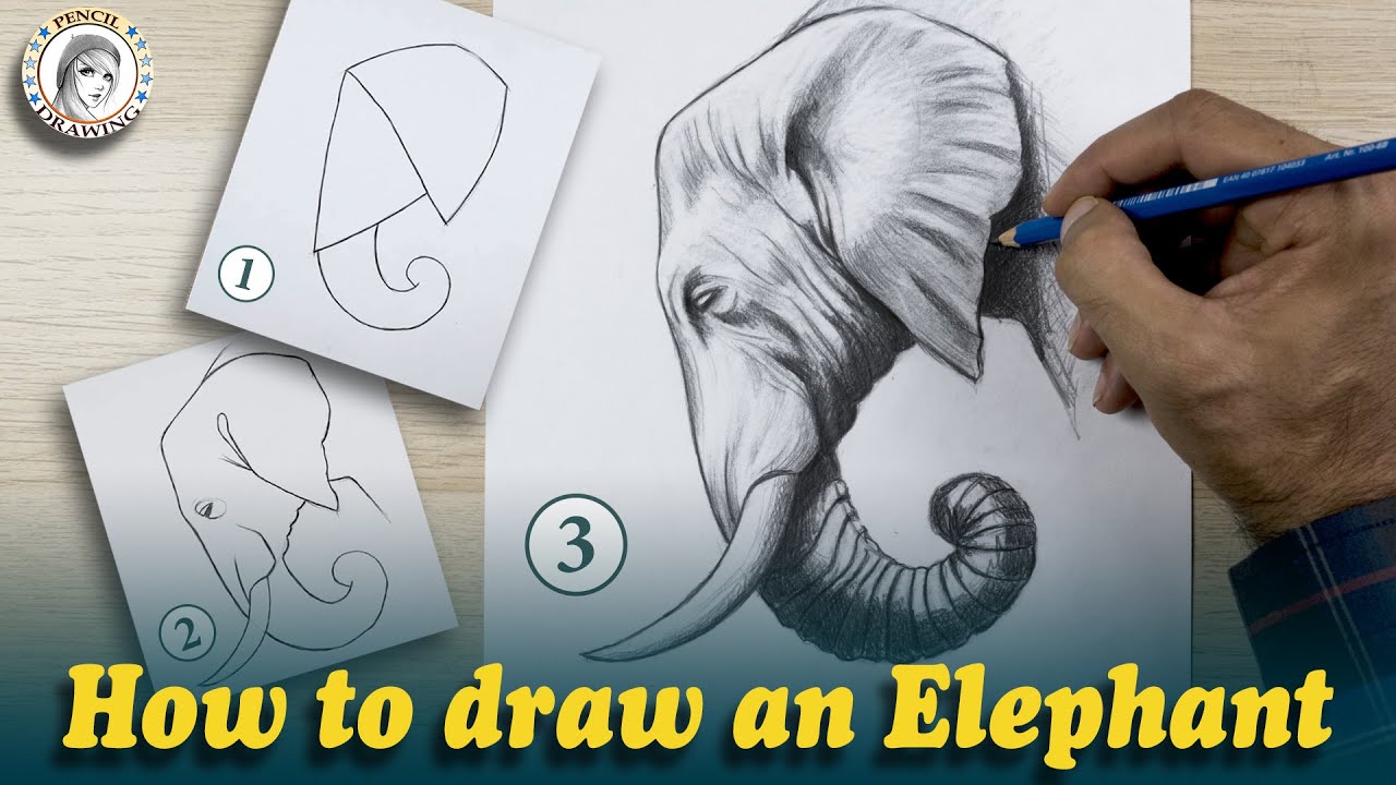 | رسم | رسم سهل | رسم بقلم الرصاص | drawing | dibujo | dessiner | how to draw | elephant drawing