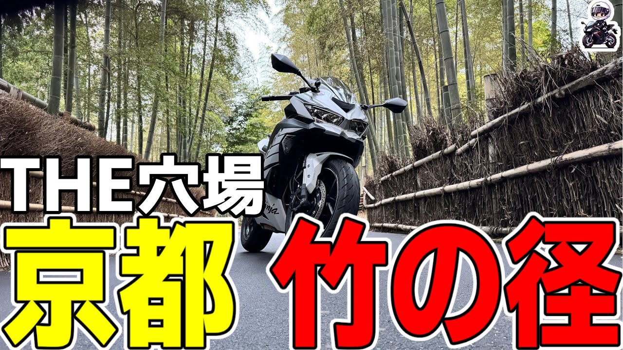 【京都ツーリング】嵐山じゃない“もうひとつの竹林”へ。静寂の竹の径を走る朝【Kawasaki ZX-4R】