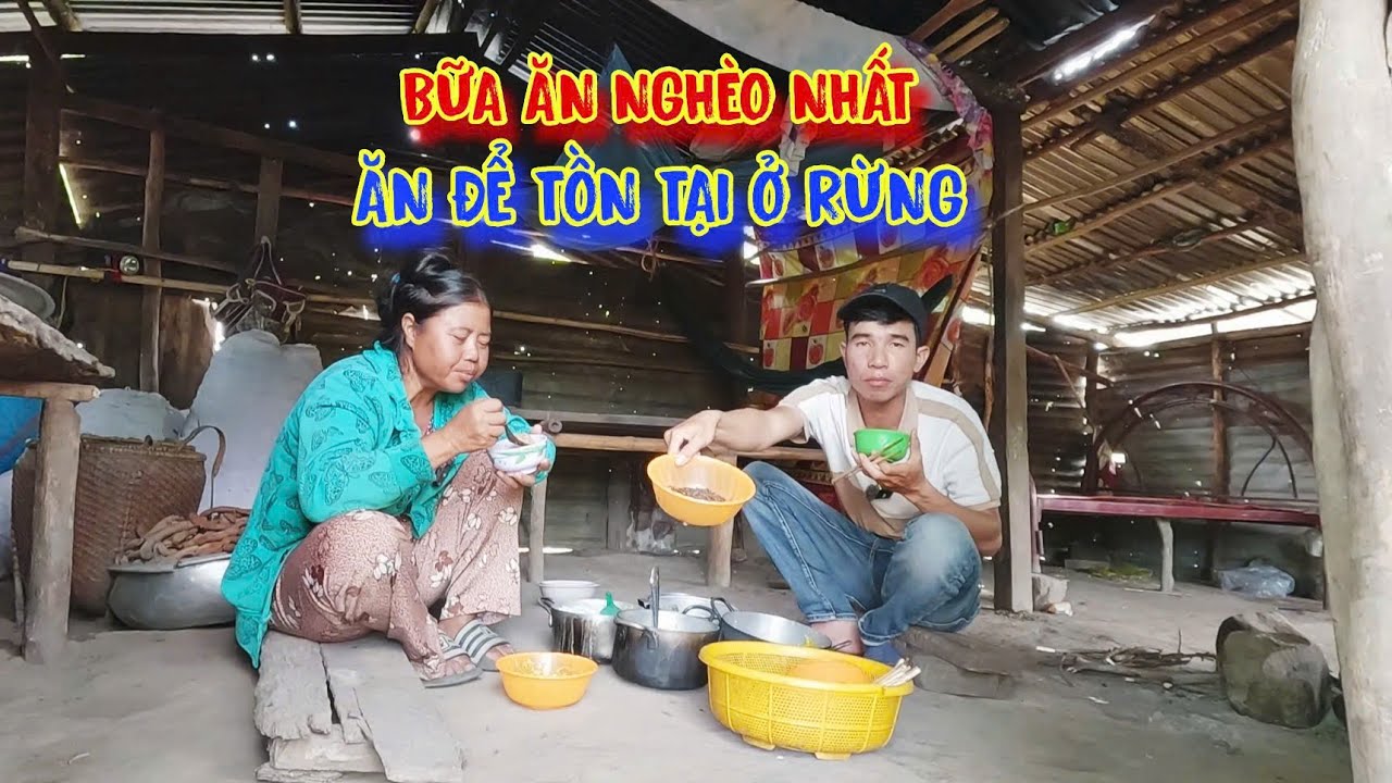 ĂN BẮP thay cơm, bữa ăn của người nghèo, trong CĂN NHÀ mục nát - tập 1452