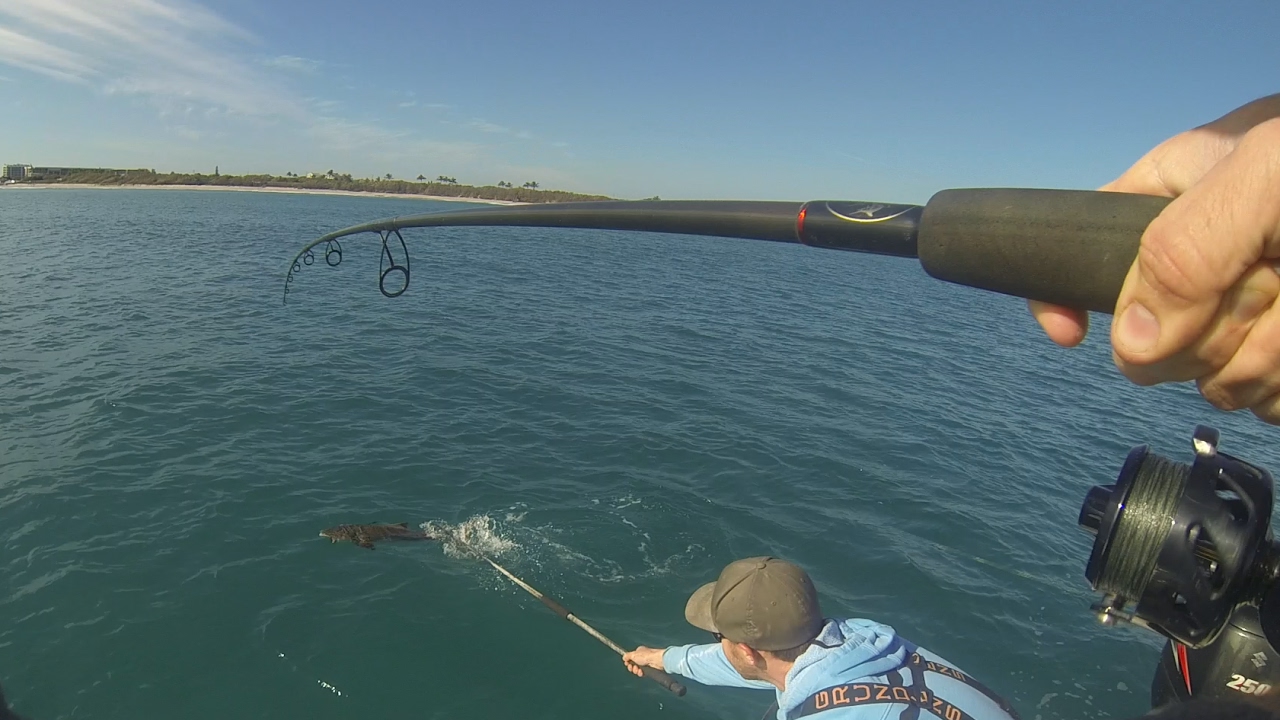 The Hook Came Out at the Last Second! (Sight Fishing for Cobia)