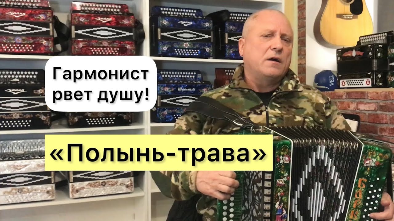Гармонист просто душу разрывает! «Полынь-Трава». Лучшие песни под гармонь! 🔥