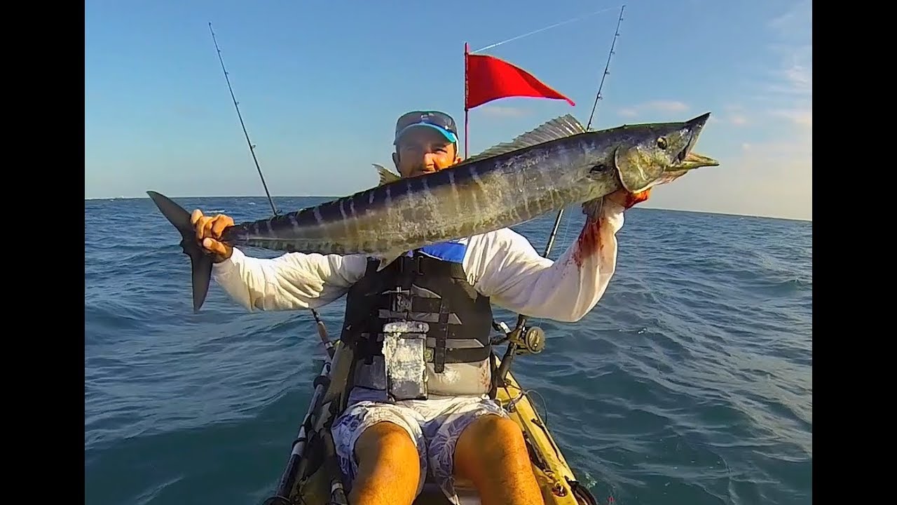 Wahoo vs Me, Kayak Fishing Zone
