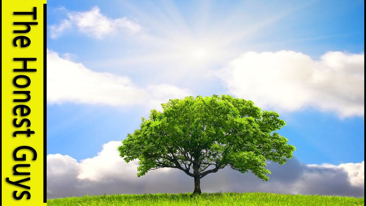 EPIC GUIDED MEDITATION: 