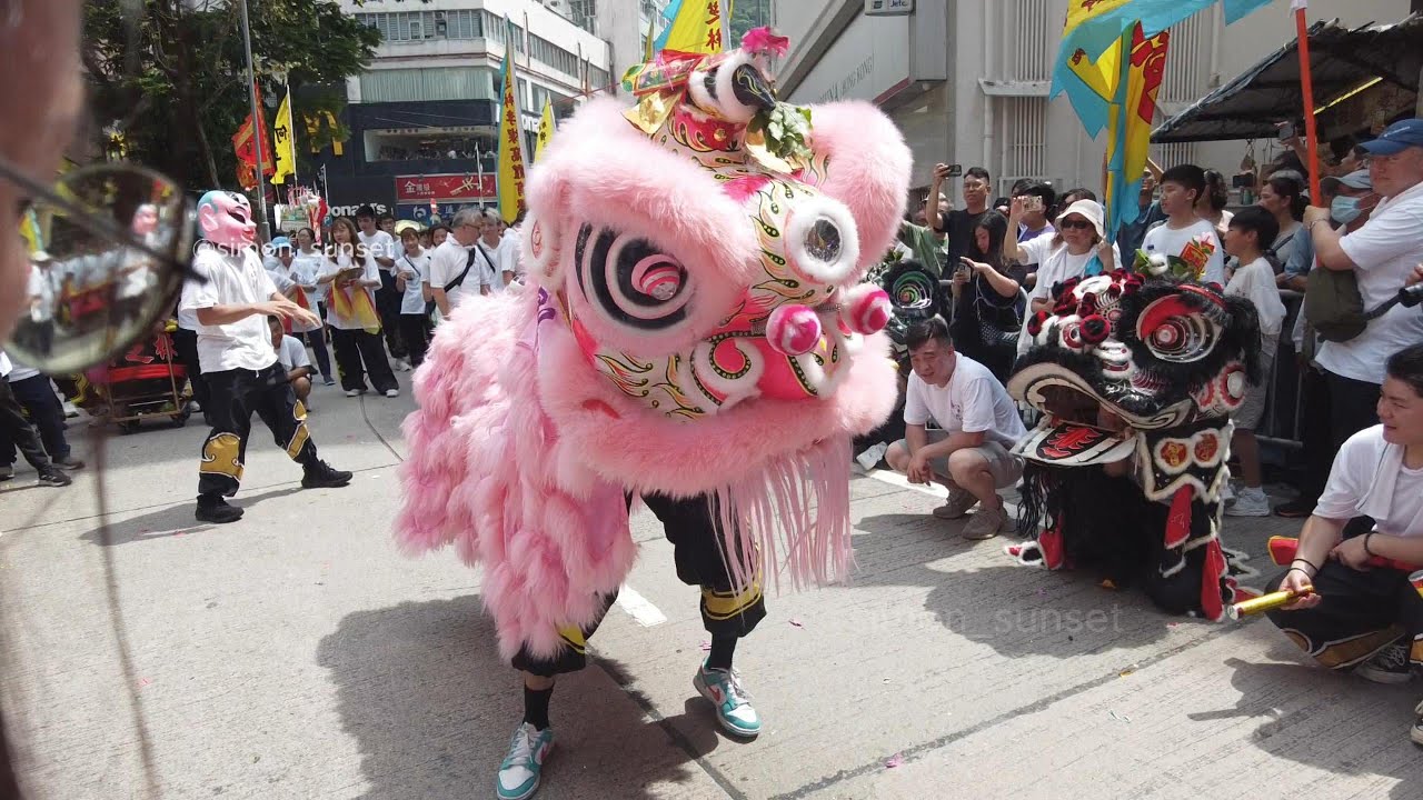 😎Pink Lion Steals the Show at Shau Kei Wan Tam Kung Festival! 😎