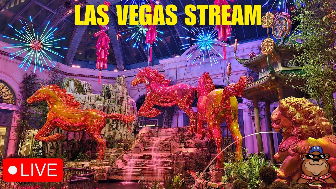 🔴 Live: Wednesday Stream at Somewhere! Where Are We? - 02/11/26