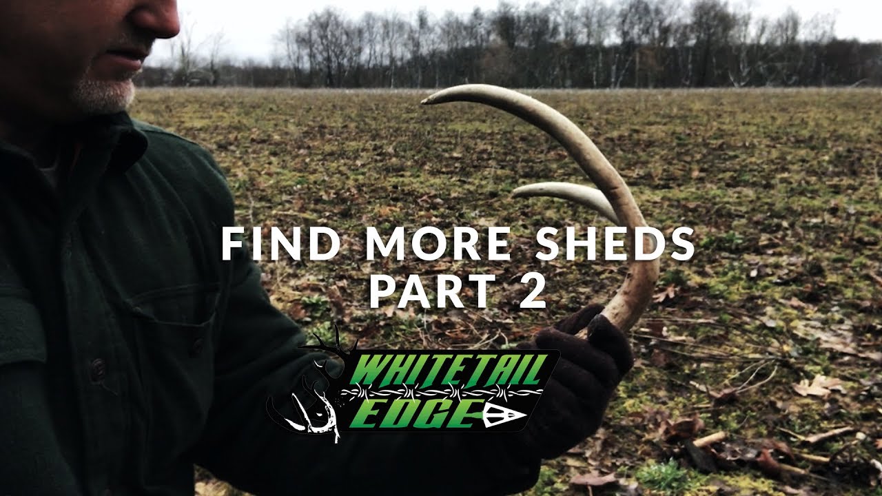 Whitetail Edge Booner School - 