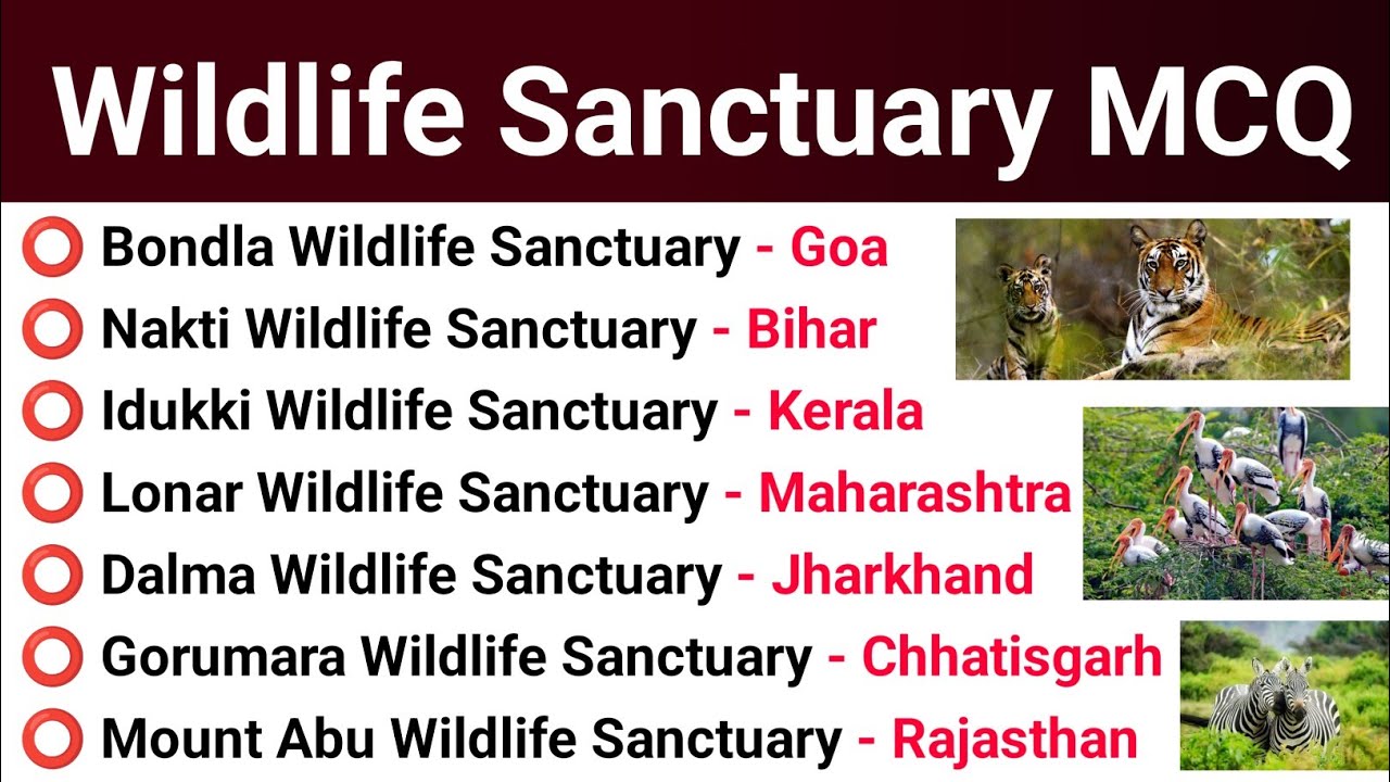 All Important Wildlife Sanctuary In India | General knowledge Important Questions For All Exams 