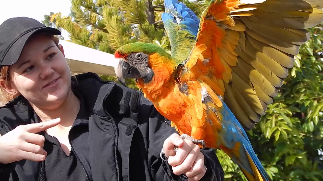 The Teaching Zoo at Moorpark College - International Students Program