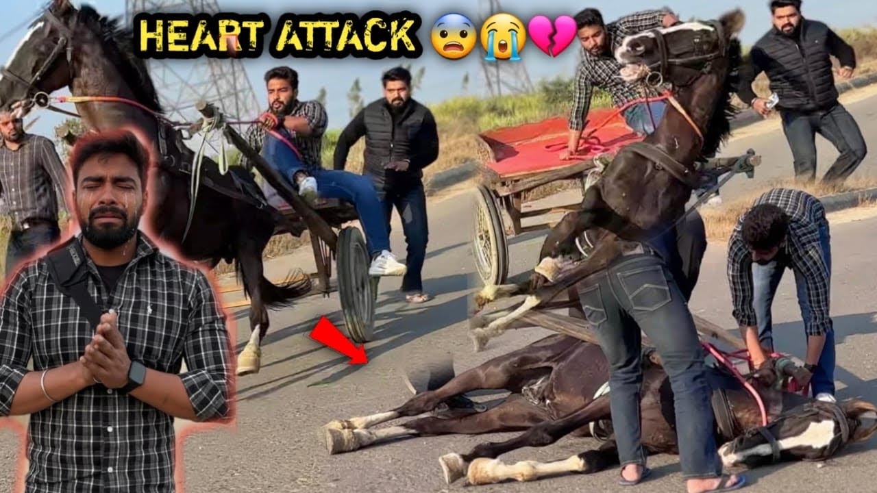 Ye Kya Ho Gya Bhagwan 🙏🏻😭Mere Raftaar Ko Heart Attack Aa Gya 😭💔