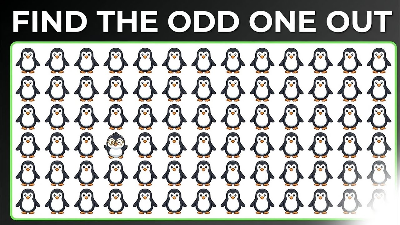 Find the Odd One Out | 15 Puzzle Quiz (Easy, Medium, Hard) | Can You Solve All?