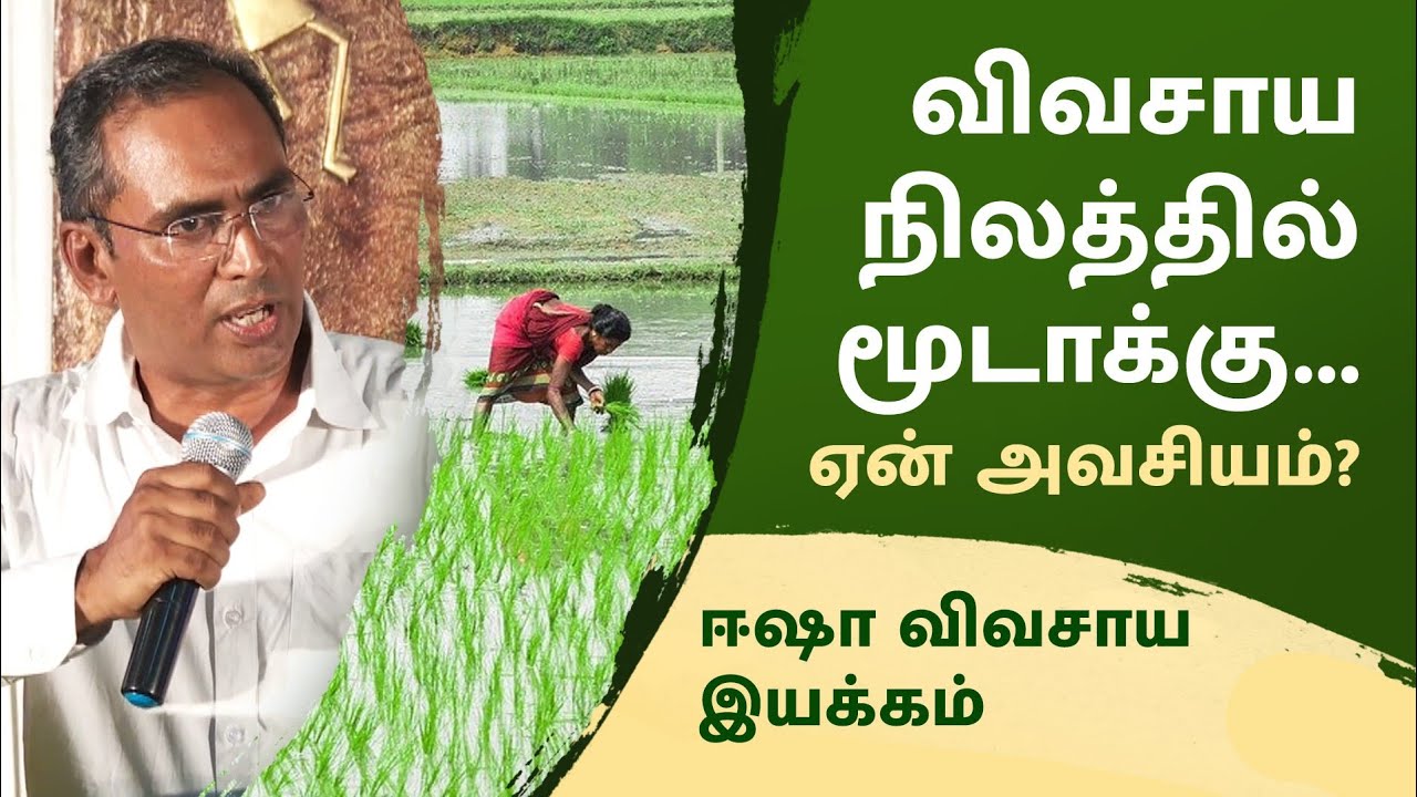 மூடாக்கு போடுவதால் மண் வளம் பெருகுமா?