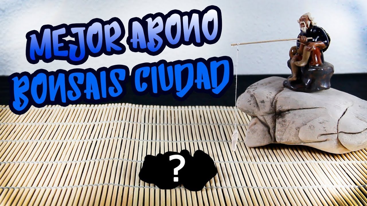 El mejor Abono para Bonsais en ciudad