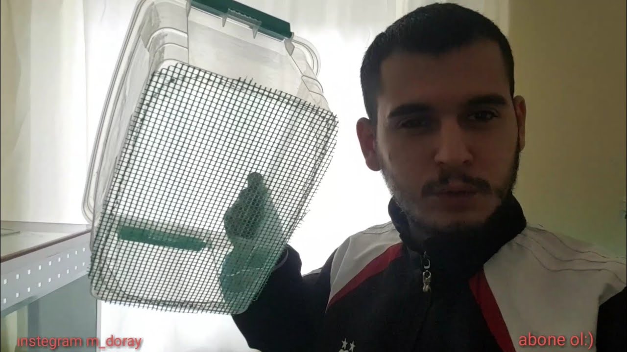 Lepistes üretim kafesi yaptım CAM GIBİ