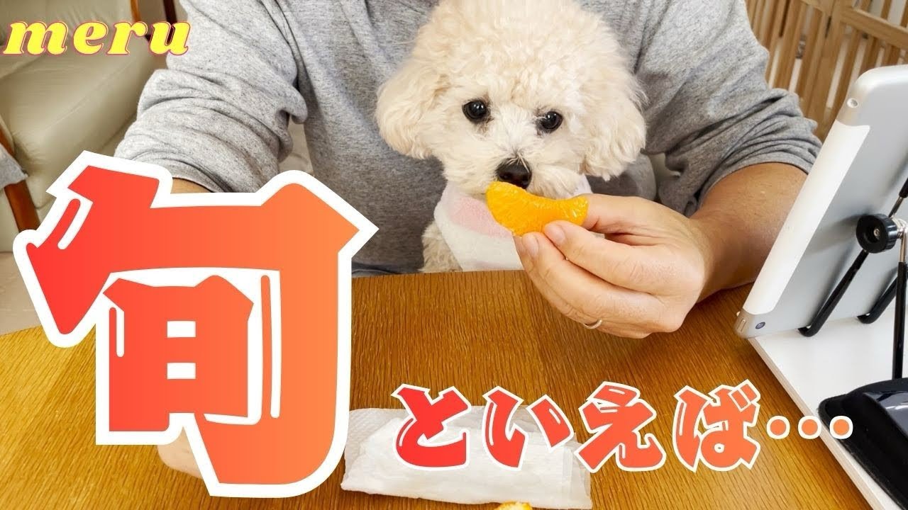 旬といえば