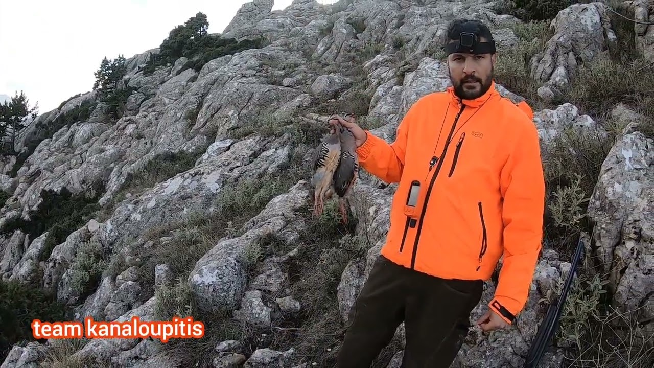 κυνήγι πέρδικας Καλαμάτα.. Κάρλα -Ορελ...