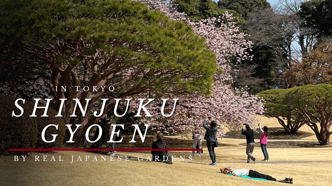 SHINJUKU GYOEN in Tokyo by Real Japanese Gardens 2024 4K HD