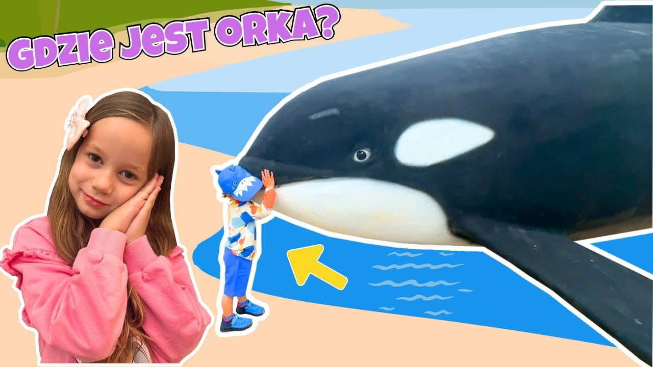 Gdzie jest ORKA? 🐋 Chodźcie z nami! Poznaj zwierzęta Bałtyku i Oceanu! 🐬 Park Wieloryba Rewal 🐳