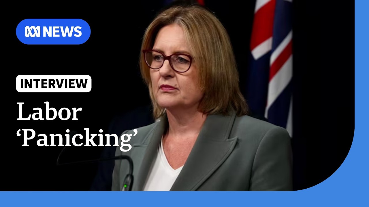 'Labor are panicking': political scientist on Jacinta Allan challenge | ABC NEWS