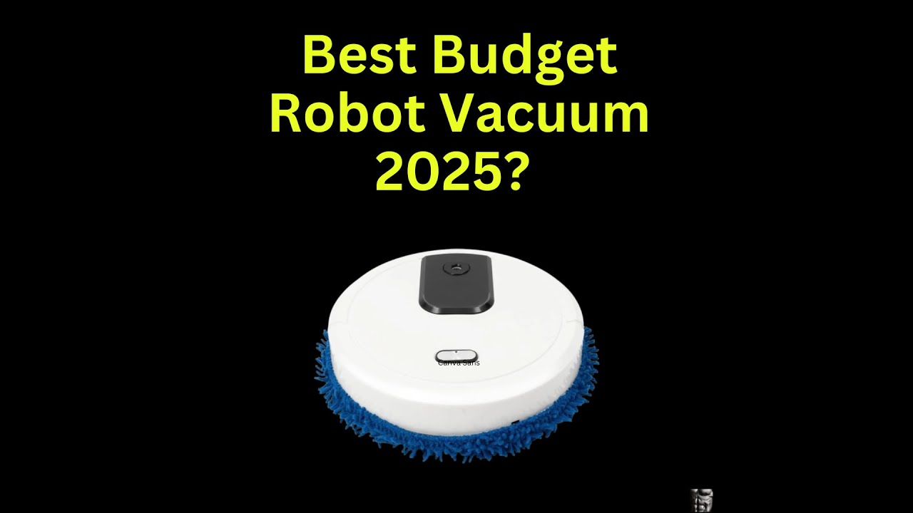 This $24 Robot Vacuum from Temu CLEANS Better Than My $300 Roomba