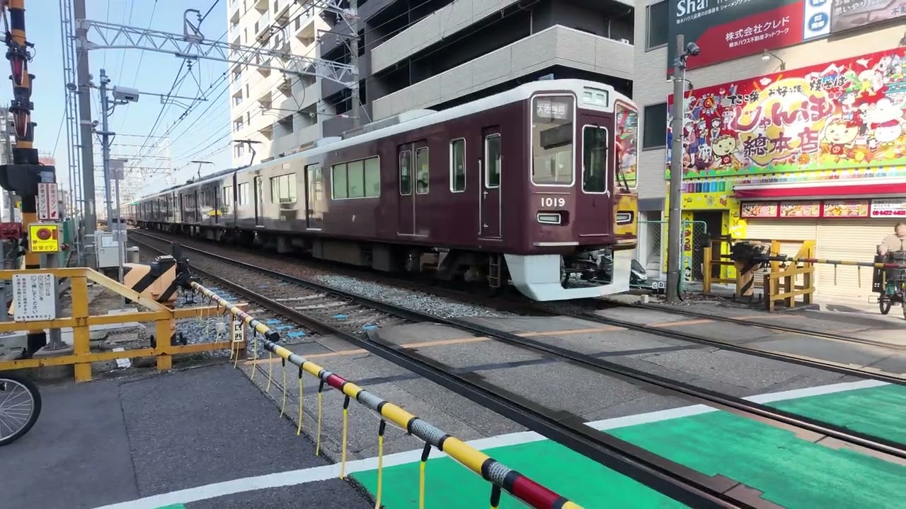 DJI 20260214095246 0005 D