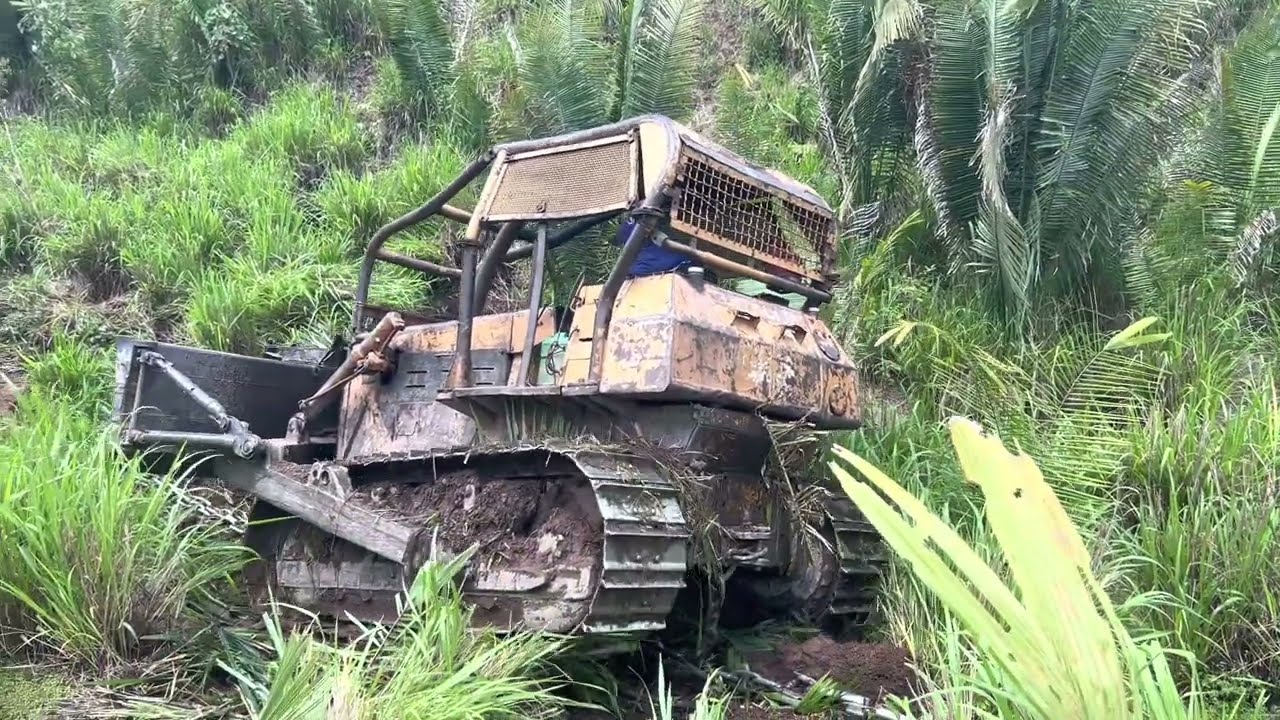 BOTANDO PRESSÃO NO CORRENTÃO 🇧🇷