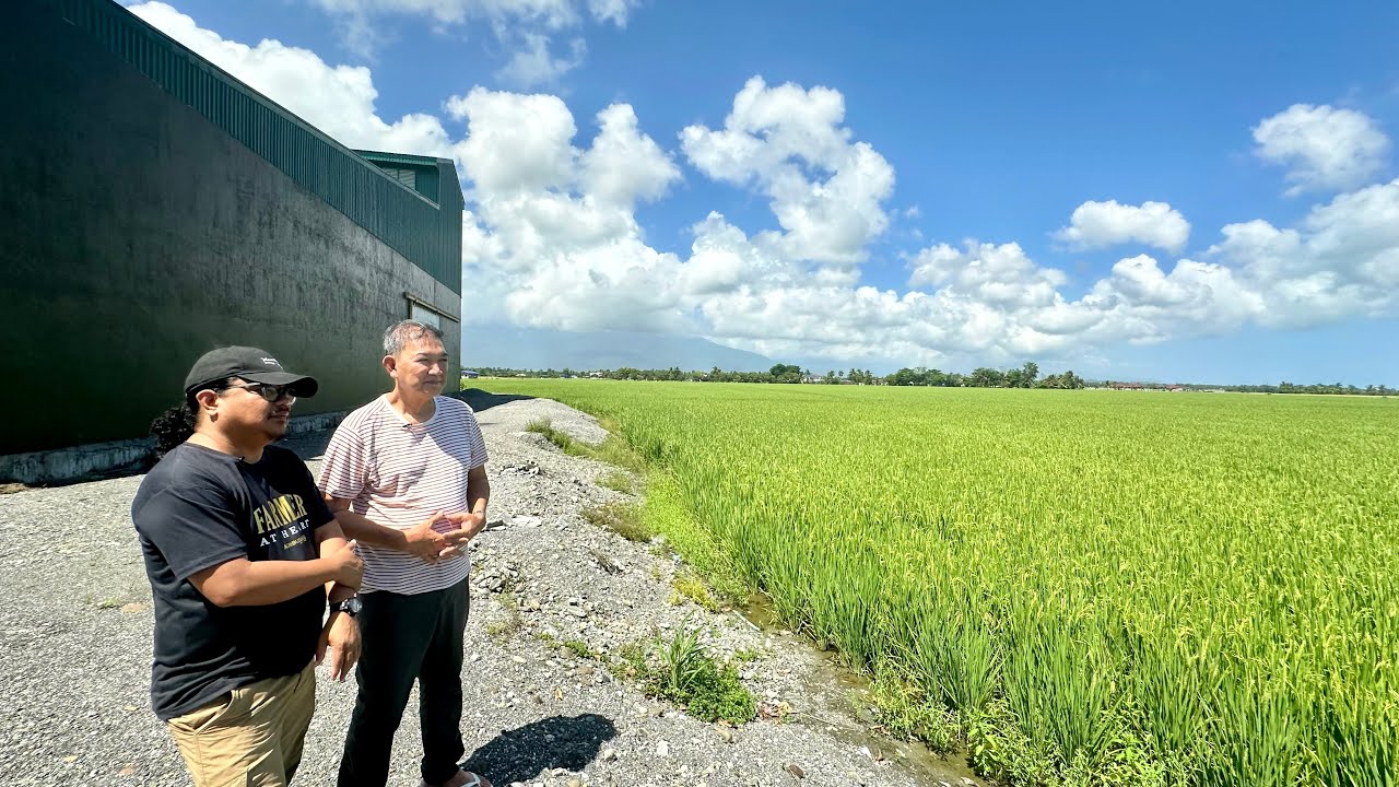First Time Makakakita! MODERN RICE FIELD CEMENTED DIKE! Paano? Anong Advantages?