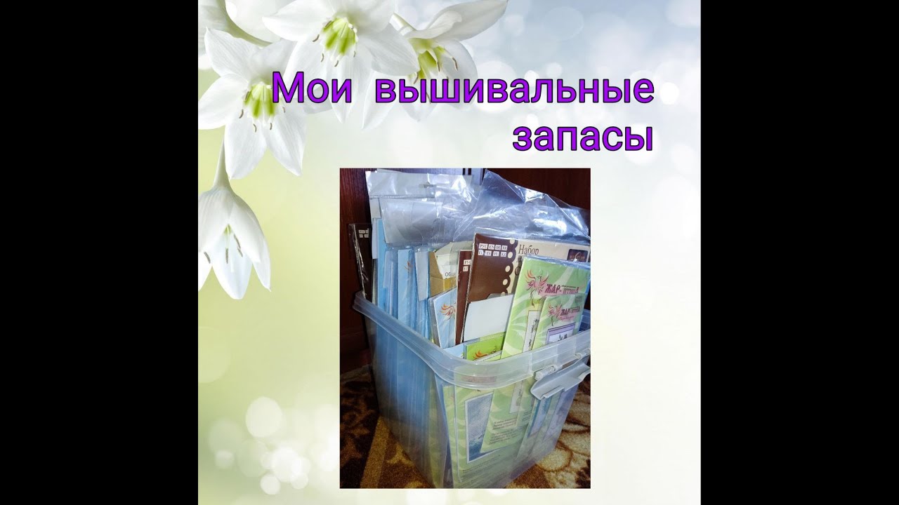 2024   Мои запасы