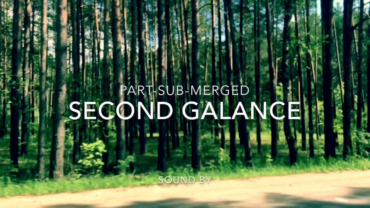 Kaluga Forest