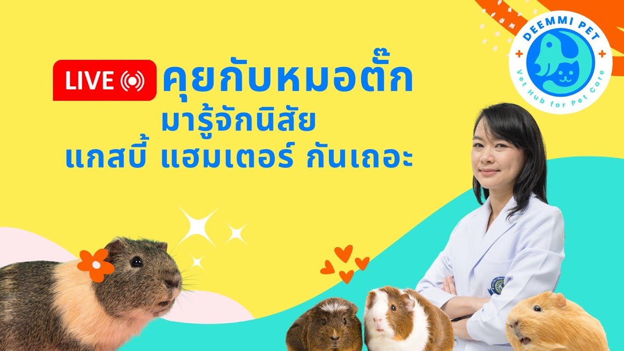 Live ปรึกษาการเลี้ยงหนูแกสบี้ แฮมสเตอร์ไปกับหมอตั๊ก | สัตวแพทย์ทีม Deemmi
