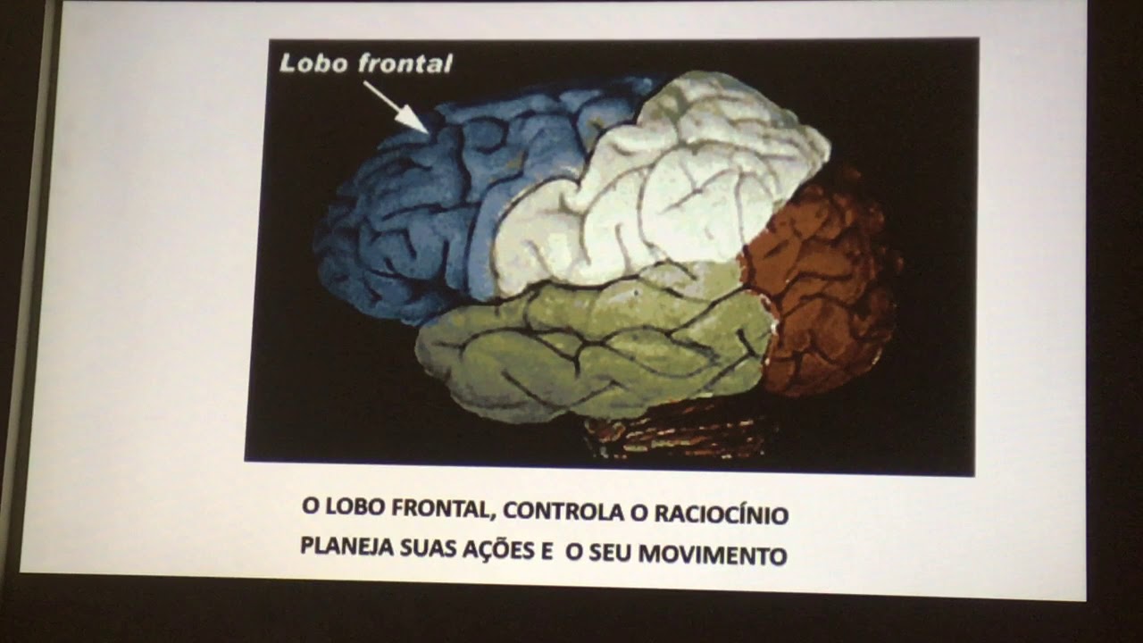 Paródia Sistema Nervoso