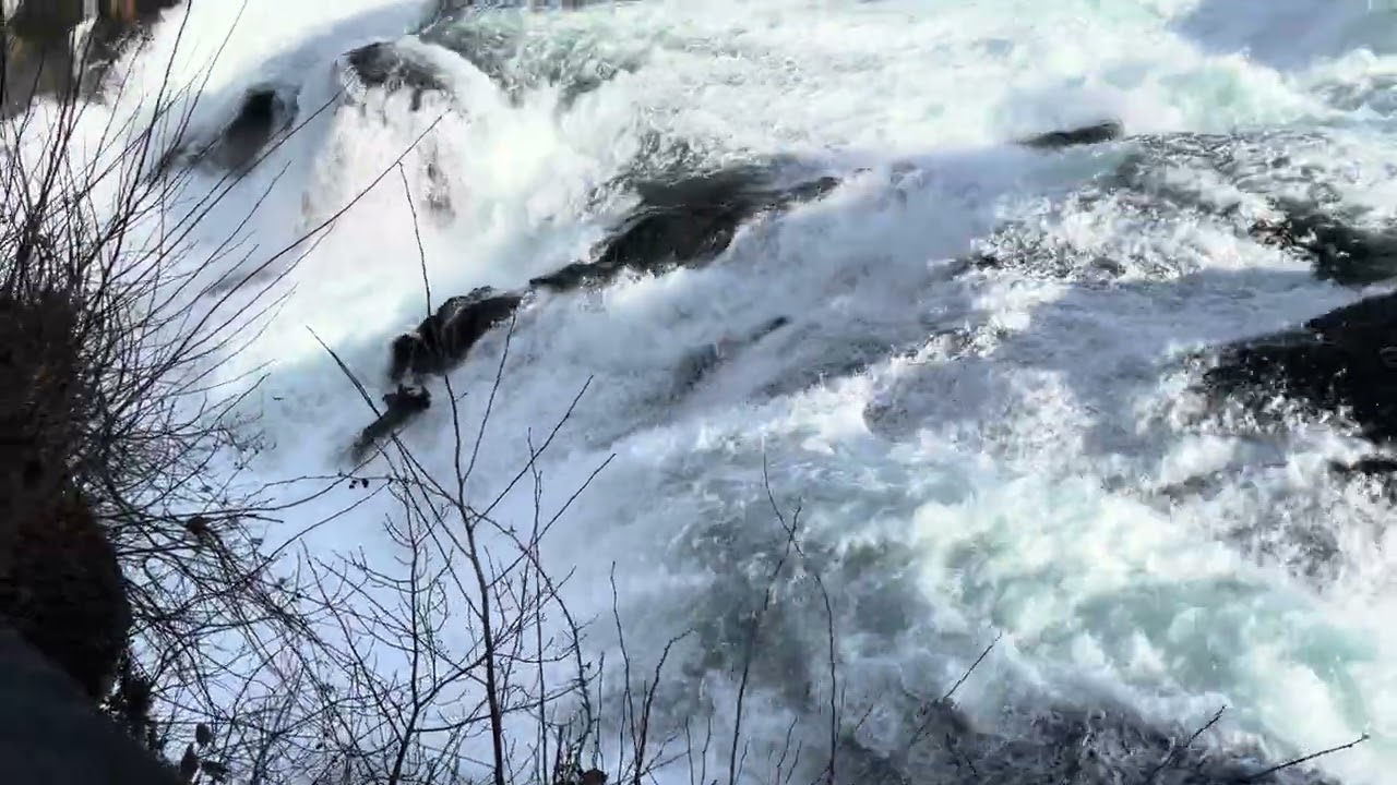 Rheinfall Niedrigwasser 07.02.2026 