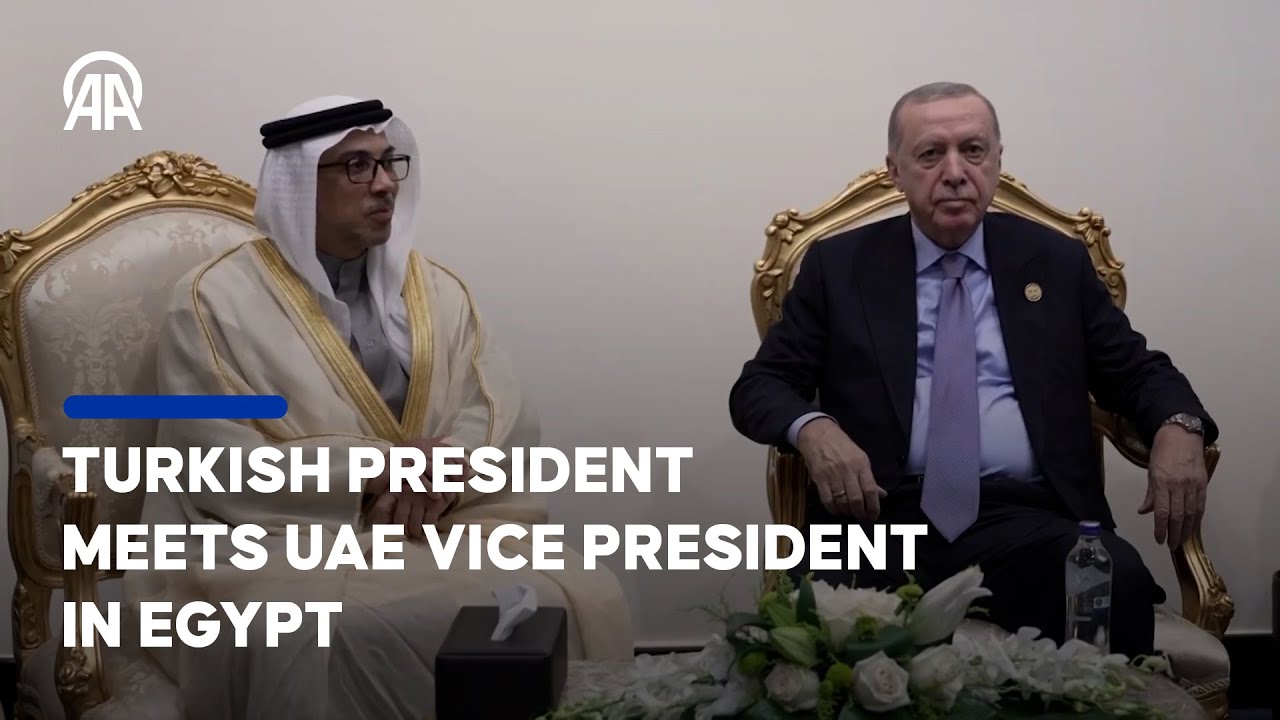 President Recep Tayyip Erdogan met with UAE Vice President  Sheikh Mansour bin Zayed Al Nahyan