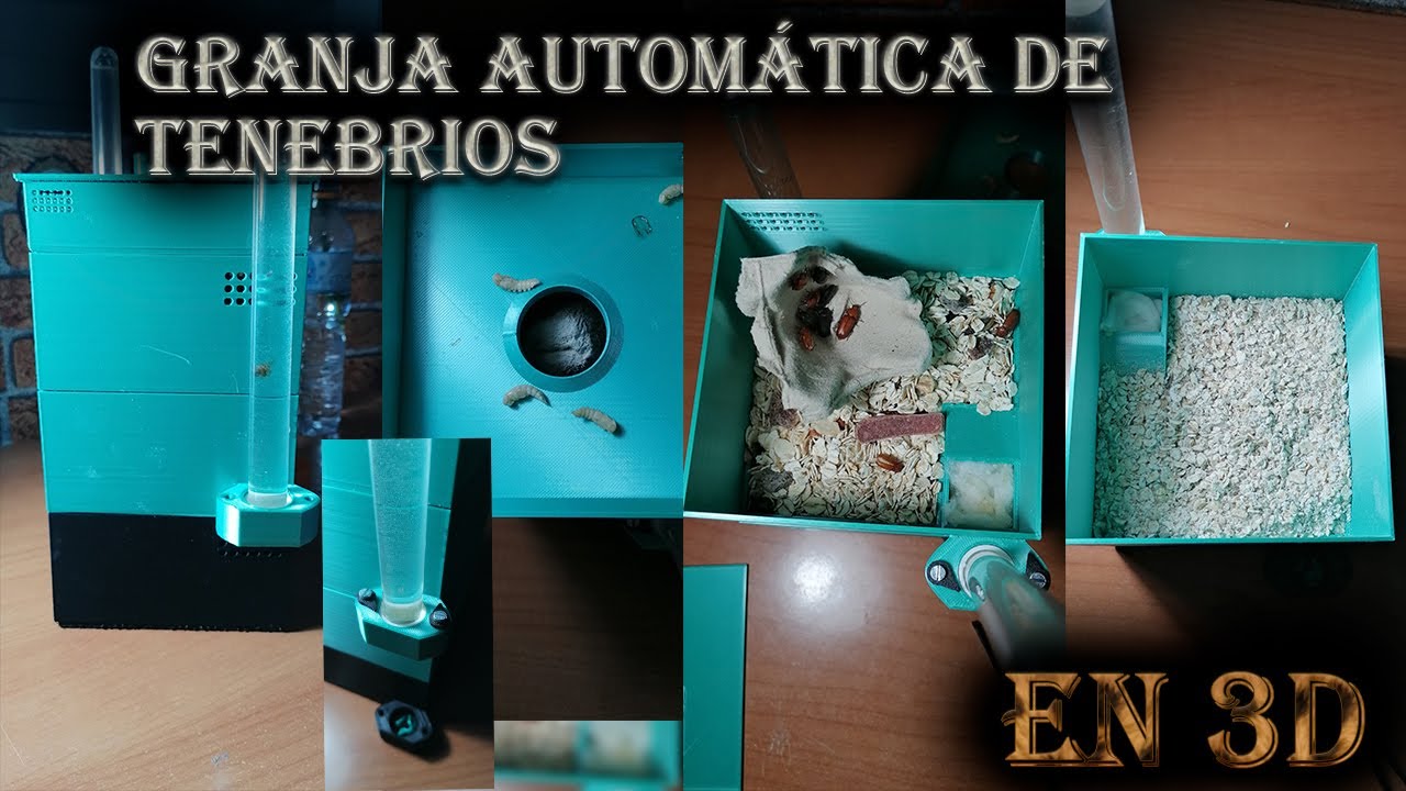 granja automática de tenebrios// reproducción de tenebrios